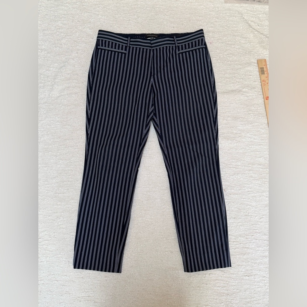 Banana Republic Women's Sloan Striped Crop Pants Navy Size 10 Career Modern